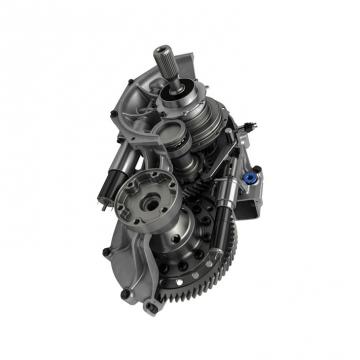 Case PU53D00016F1 Hydraulic Final Drive Motor